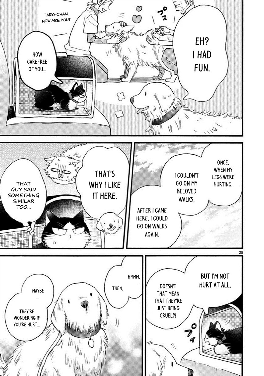 Read My Roommate is a Cat chapter 7.2 image 9 on Lezhin