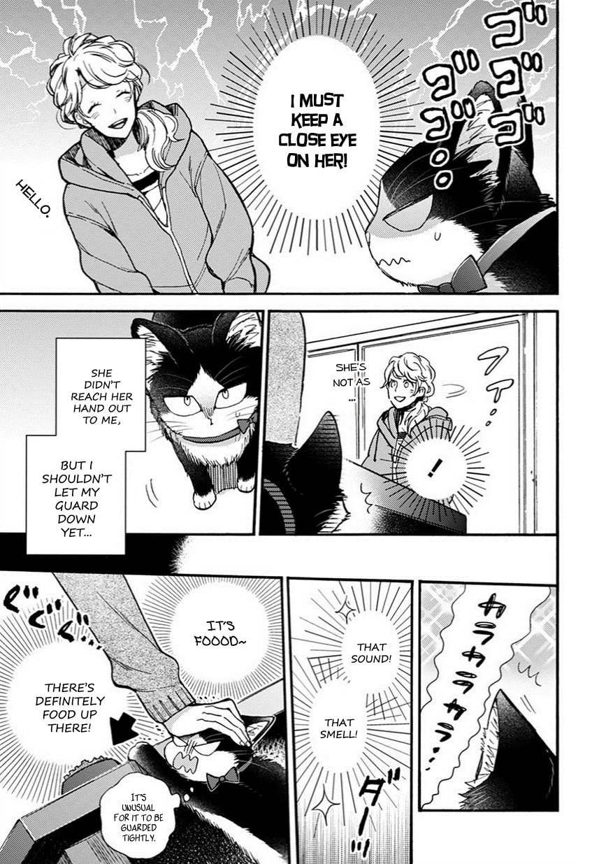 Read My Roommate is a Cat chapter 8.1 image 3 on Lezhin