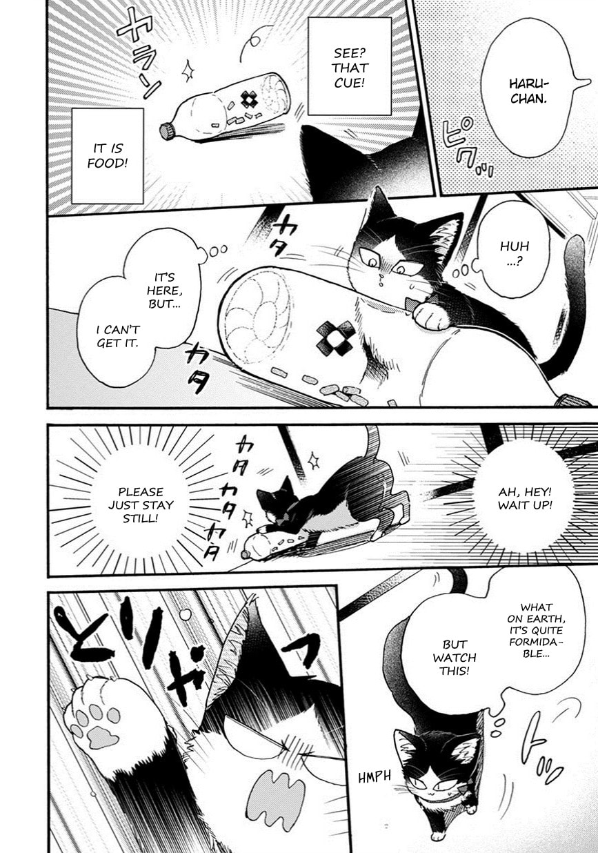 Read My Roommate is a Cat chapter 8.1 image 4 on Lezhin