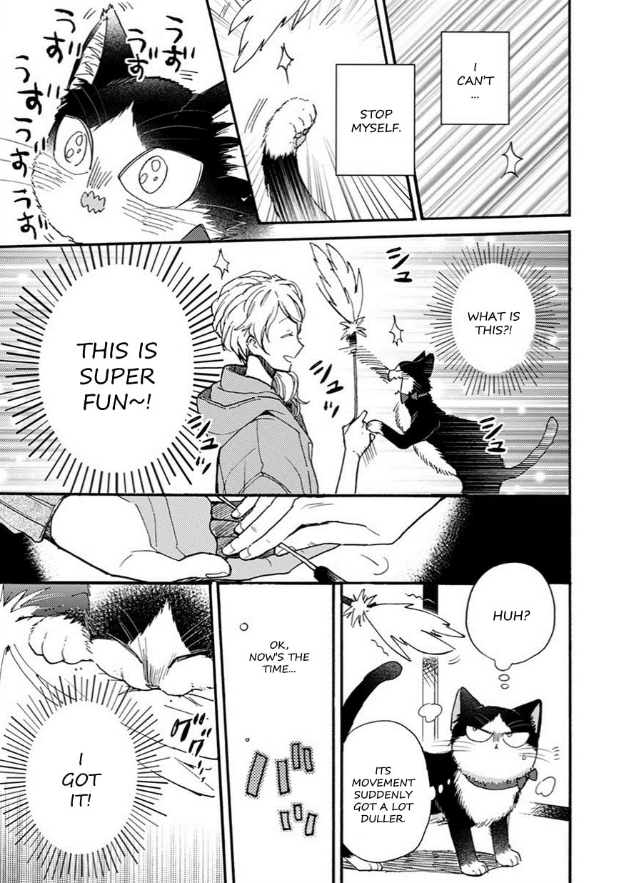Read My Roommate is a Cat chapter 8.1 image 7 on Lezhin