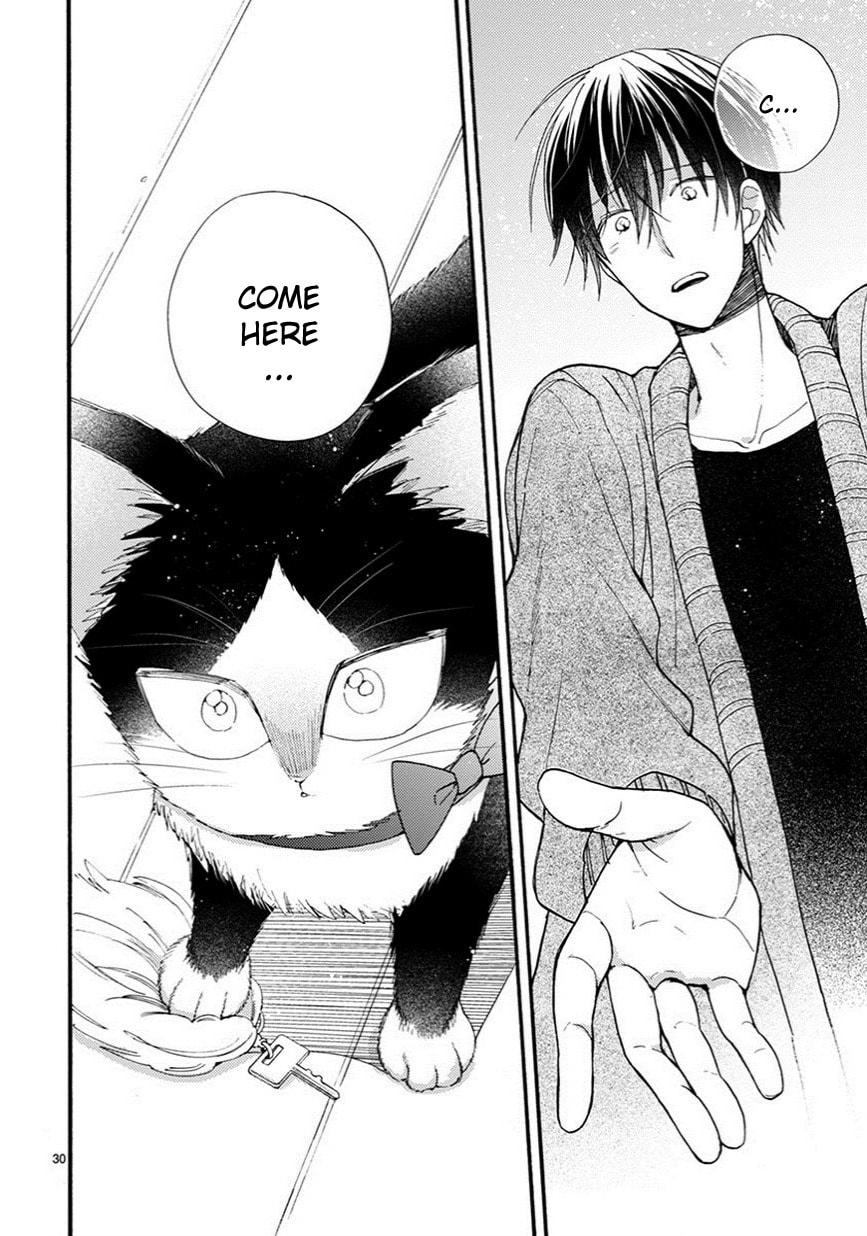 Read My Roommate is a Cat chapter 9.2 image 14 on Lezhin