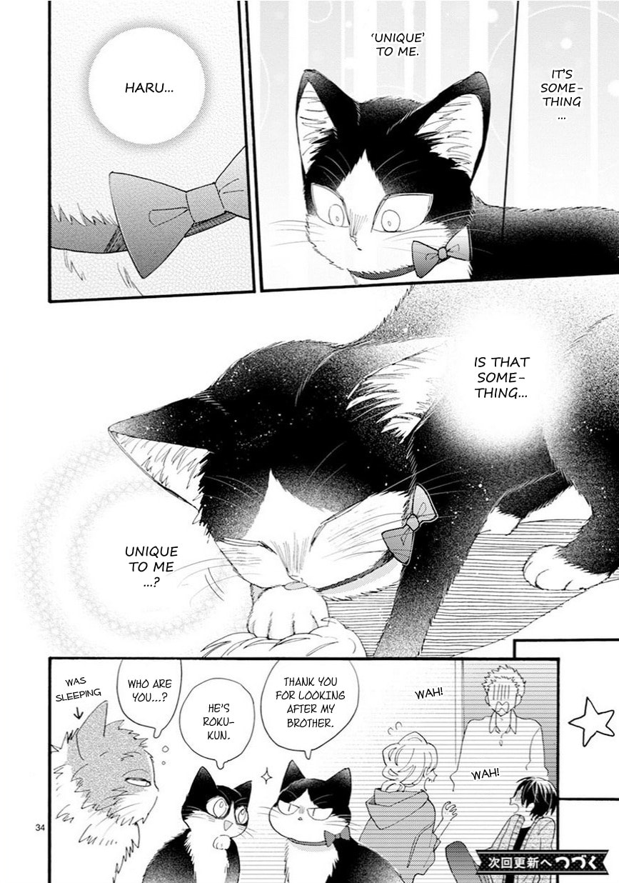 Read My Roommate is a Cat chapter 9.2 image 18 on Lezhin