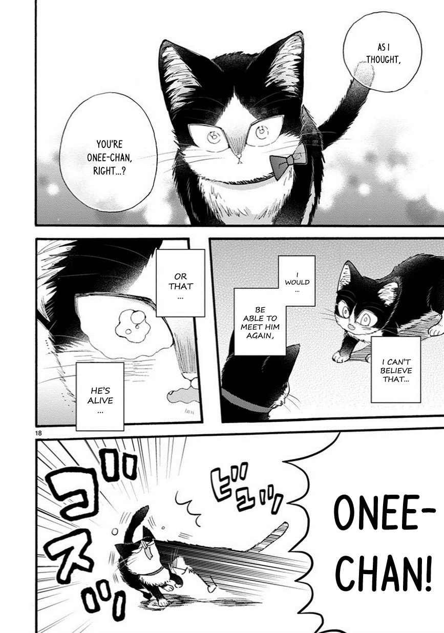 Read My Roommate is a Cat chapter 9.2 image 2 on Lezhin