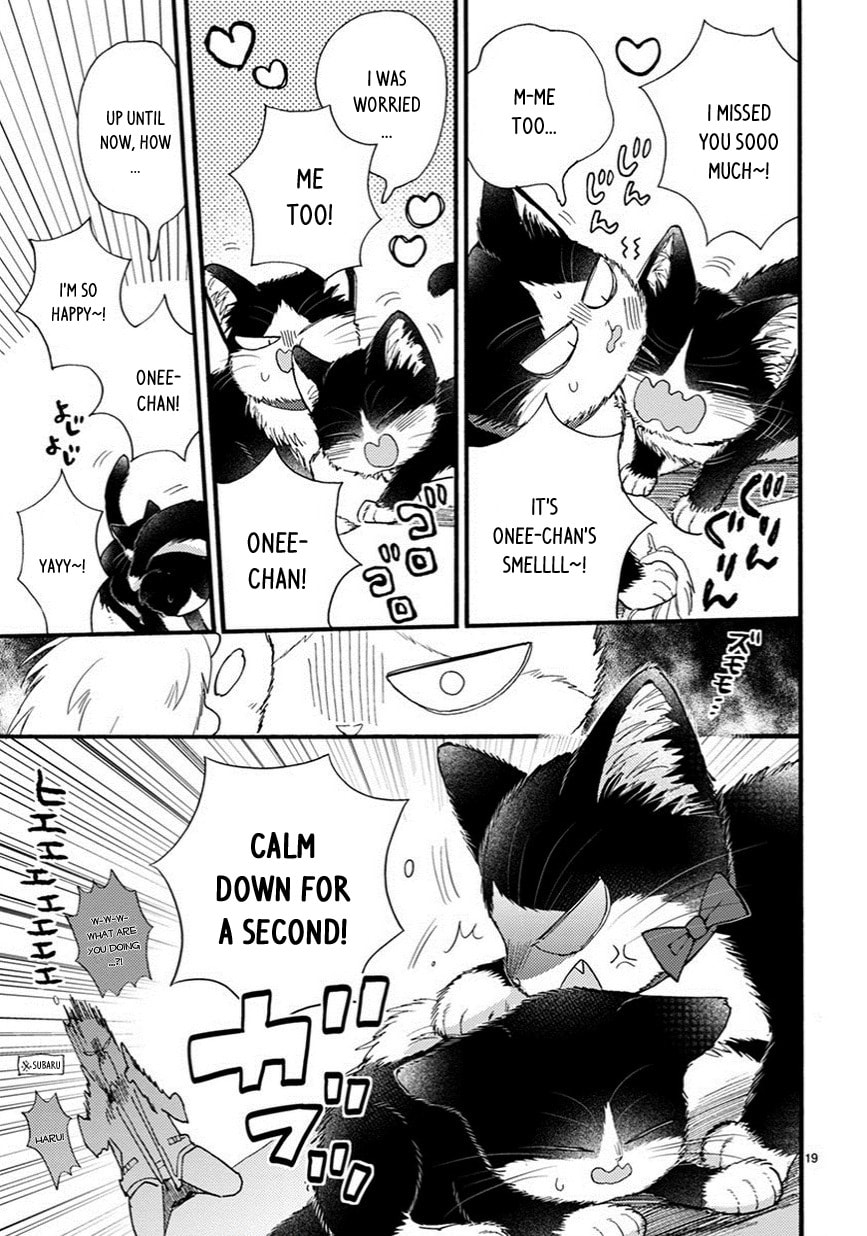 Read My Roommate is a Cat chapter 9.2 image 3 on Lezhin