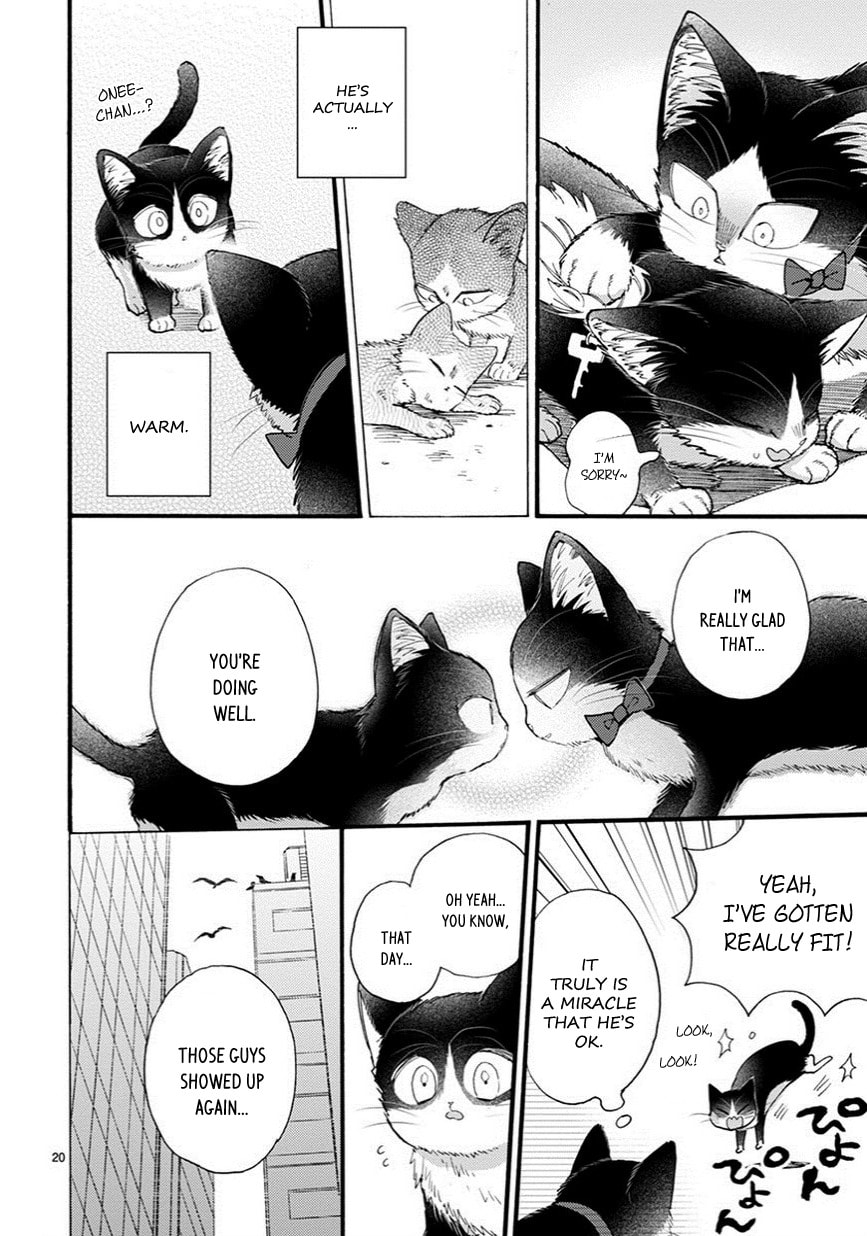 Read My Roommate is a Cat chapter 9.2 image 4 on Lezhin