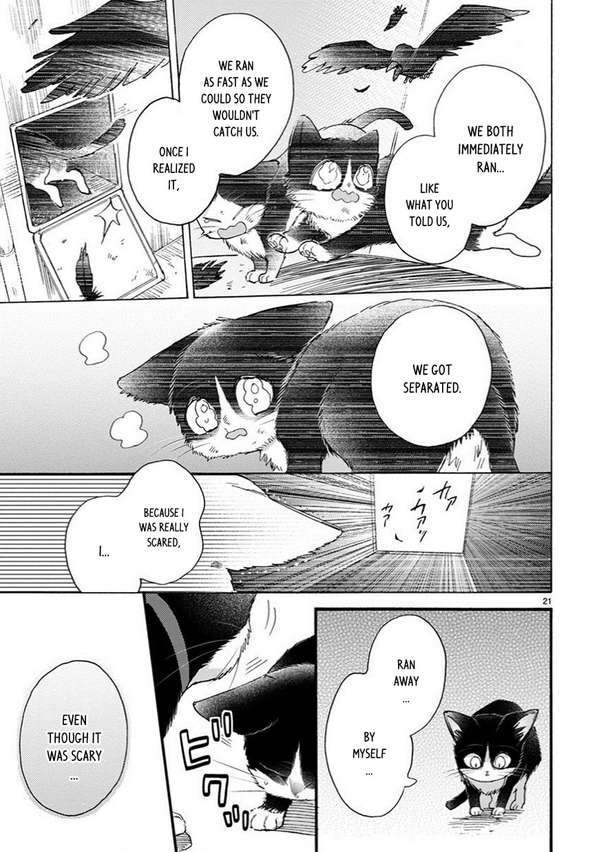 Read My Roommate is a Cat chapter 9.2 image 5 on Lezhin