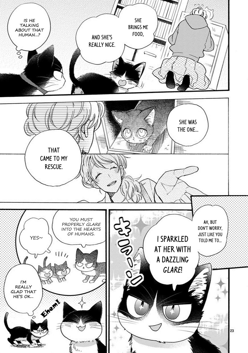 Read My Roommate is a Cat chapter 9.2 image 7 on Lezhin