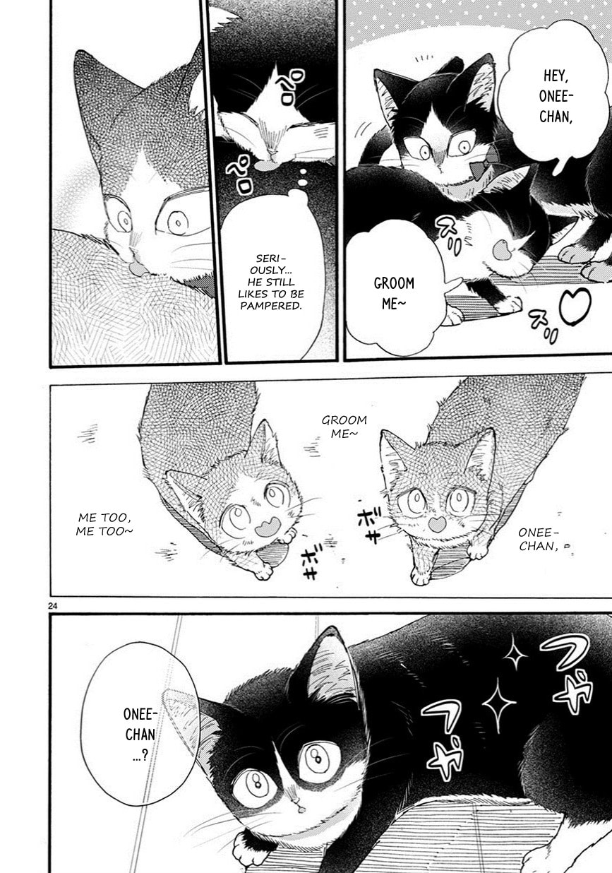 Read My Roommate is a Cat chapter 9.2 image 8 on Lezhin