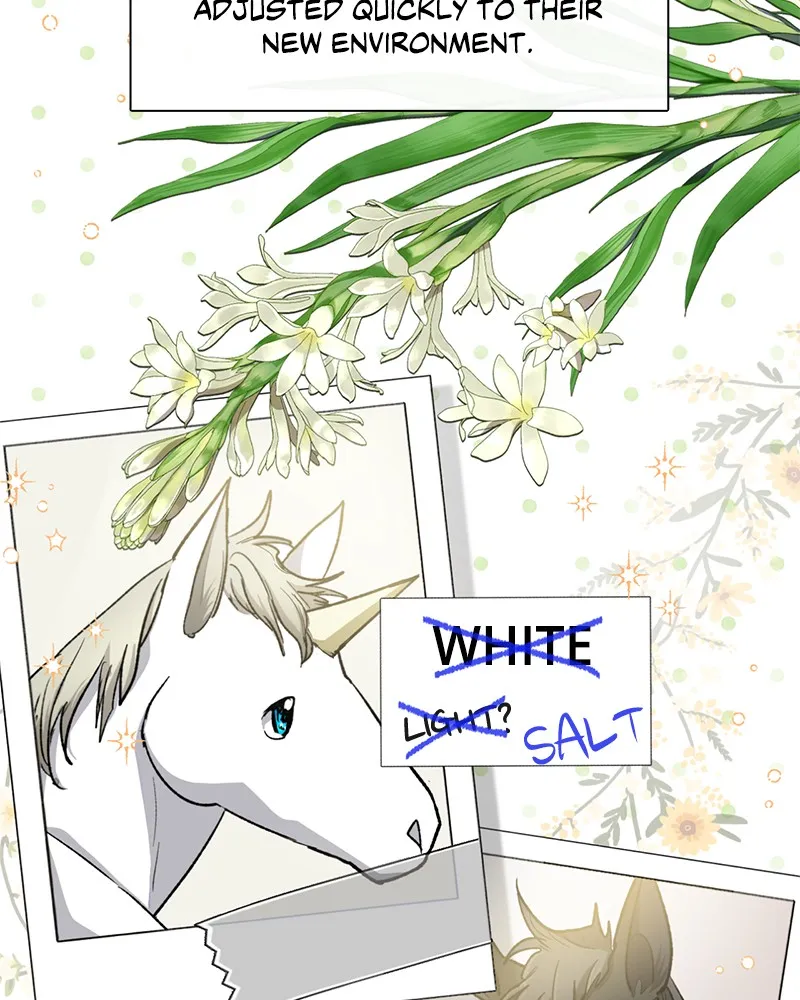 Read My S-Class Hunters chapter 57 image 2 on Lezhin