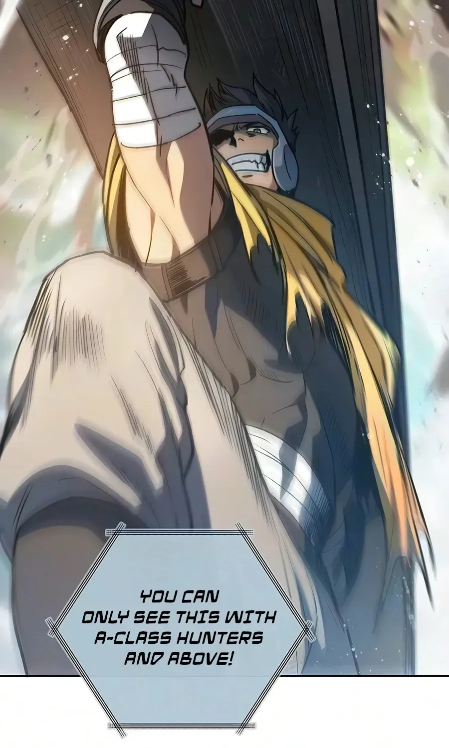 Read My S-Class Hunters chapter 165 image 9 on Lezhin