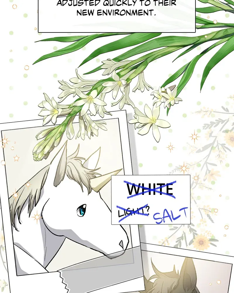 Read My S-Class Hunters chapter 57 image 2 on Lezhin