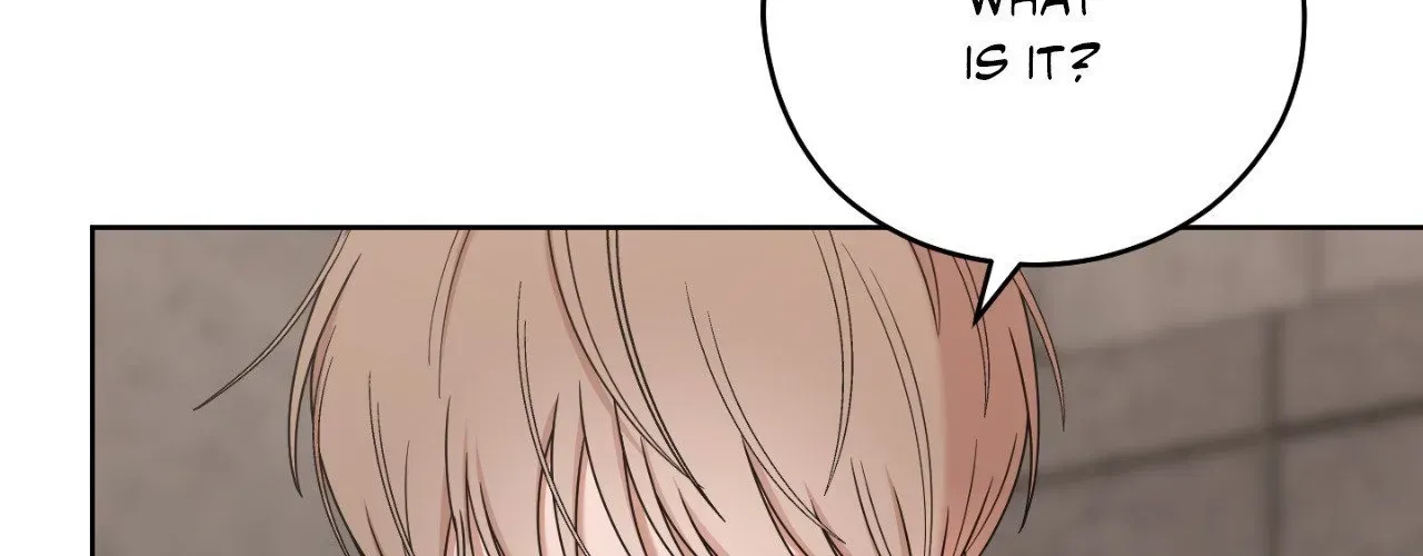 My Sassy Celebrity Chapter 41 page 183 - 