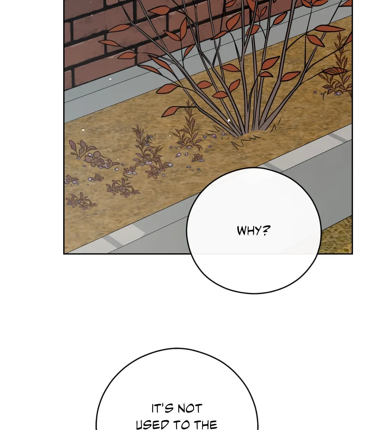 My Sassy Celebrity Chapter 49 page 183 - 