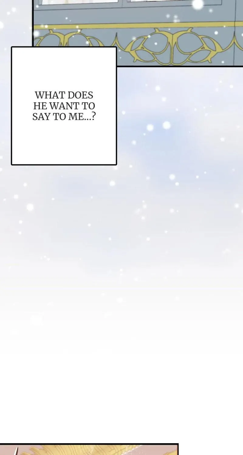 Read My Second First Marriage chapter 9 image 8 on Lezhin