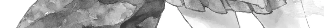 Read My Secret Affection chapter 5 image 1 on Lezhin