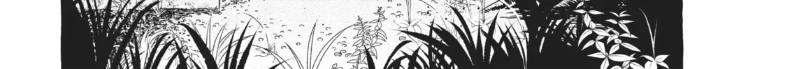 Read My Secret Affection chapter 8 image 51 on Lezhin