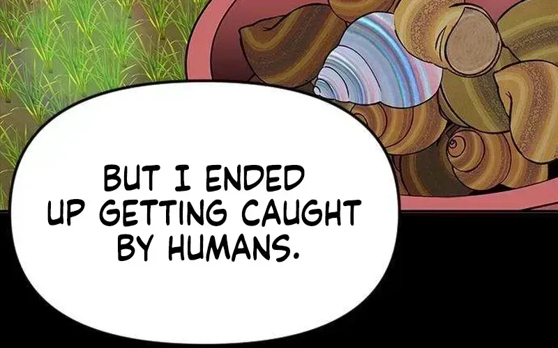Read My Sexy Snail Bride chapter 2.3 image 33 on Lezhin