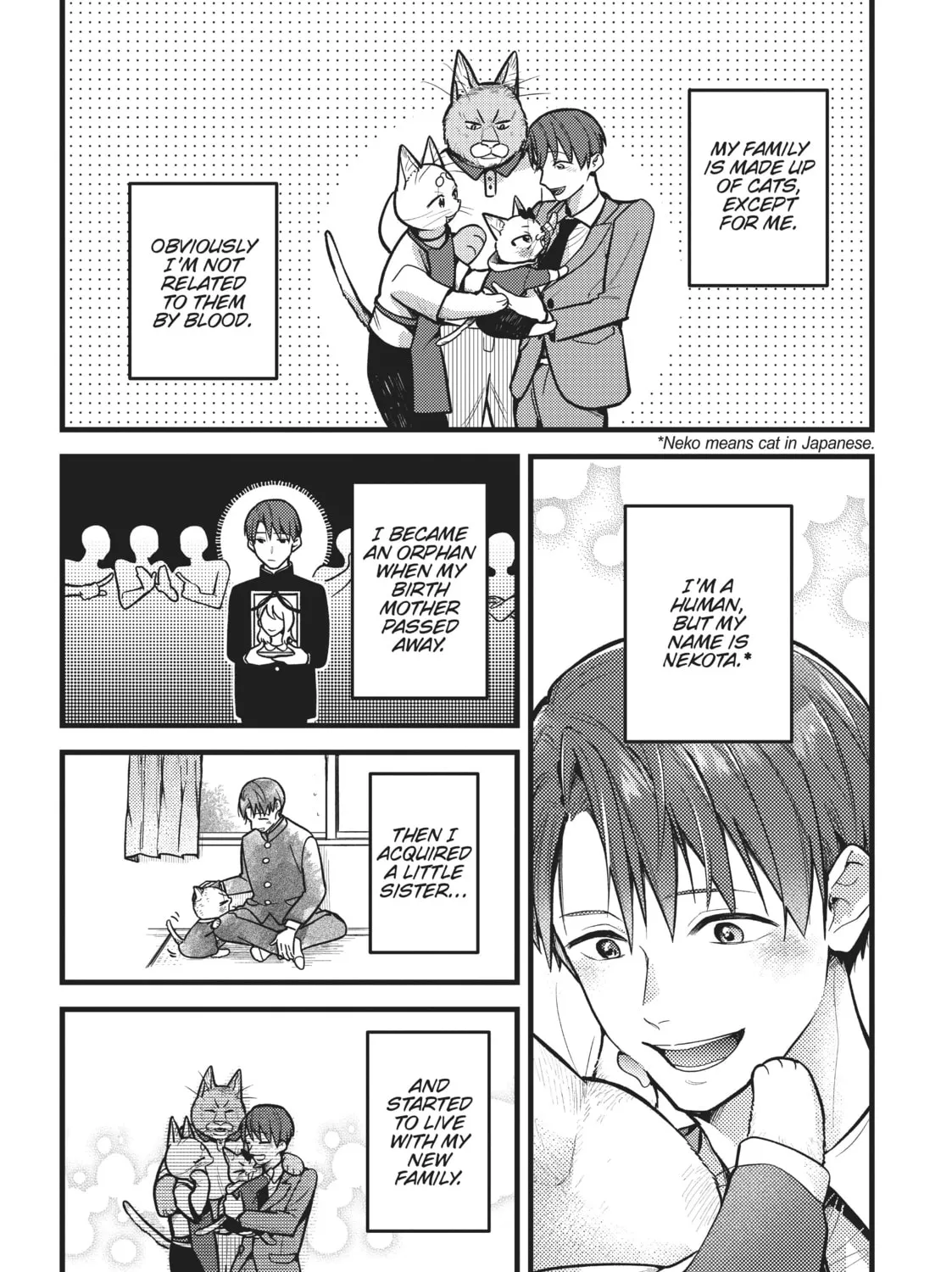 Read My Sister, The Cat chapter 33 image 2 on Lezhin