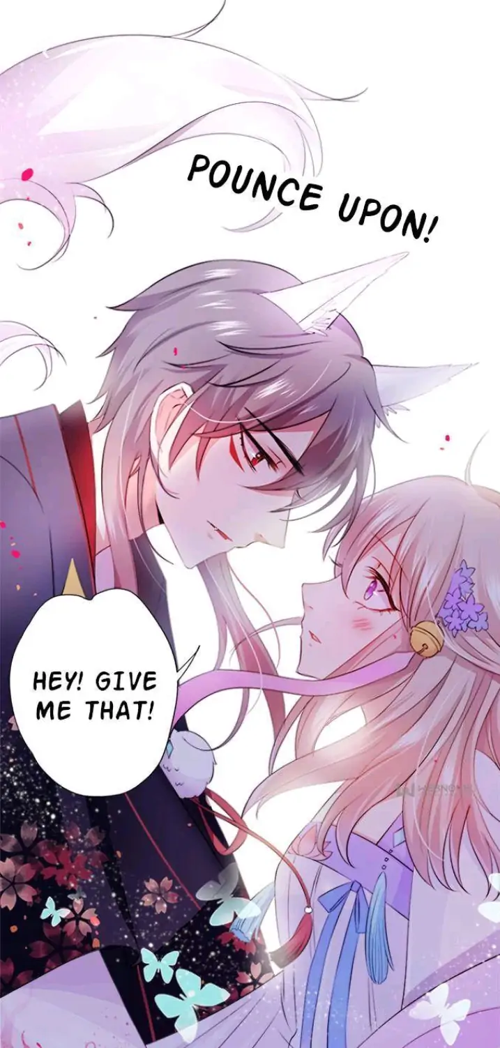 Read My Snapping Fox Lord chapter 1 image 12 on Lezhin