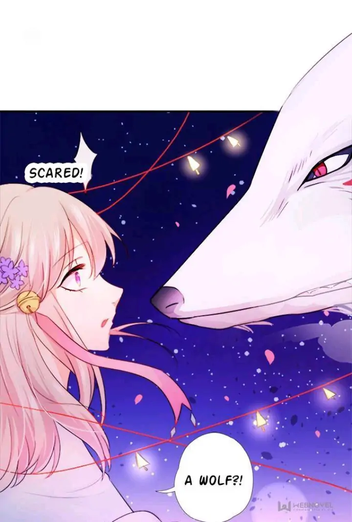 Read My Snapping Fox Lord chapter 1 image 4 on Lezhin