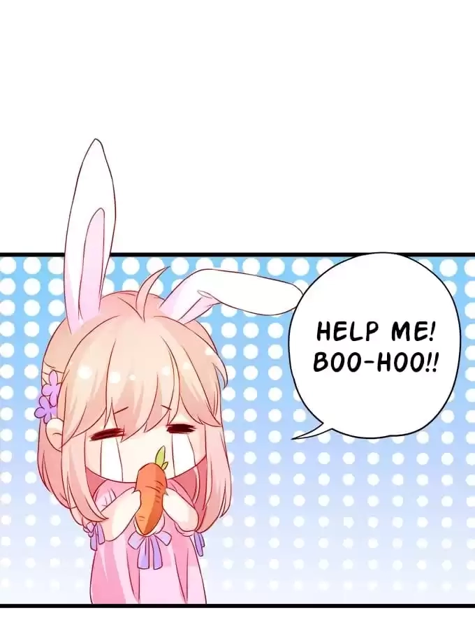 Read My Snapping Fox Lord chapter 13 image 4 on Lezhin