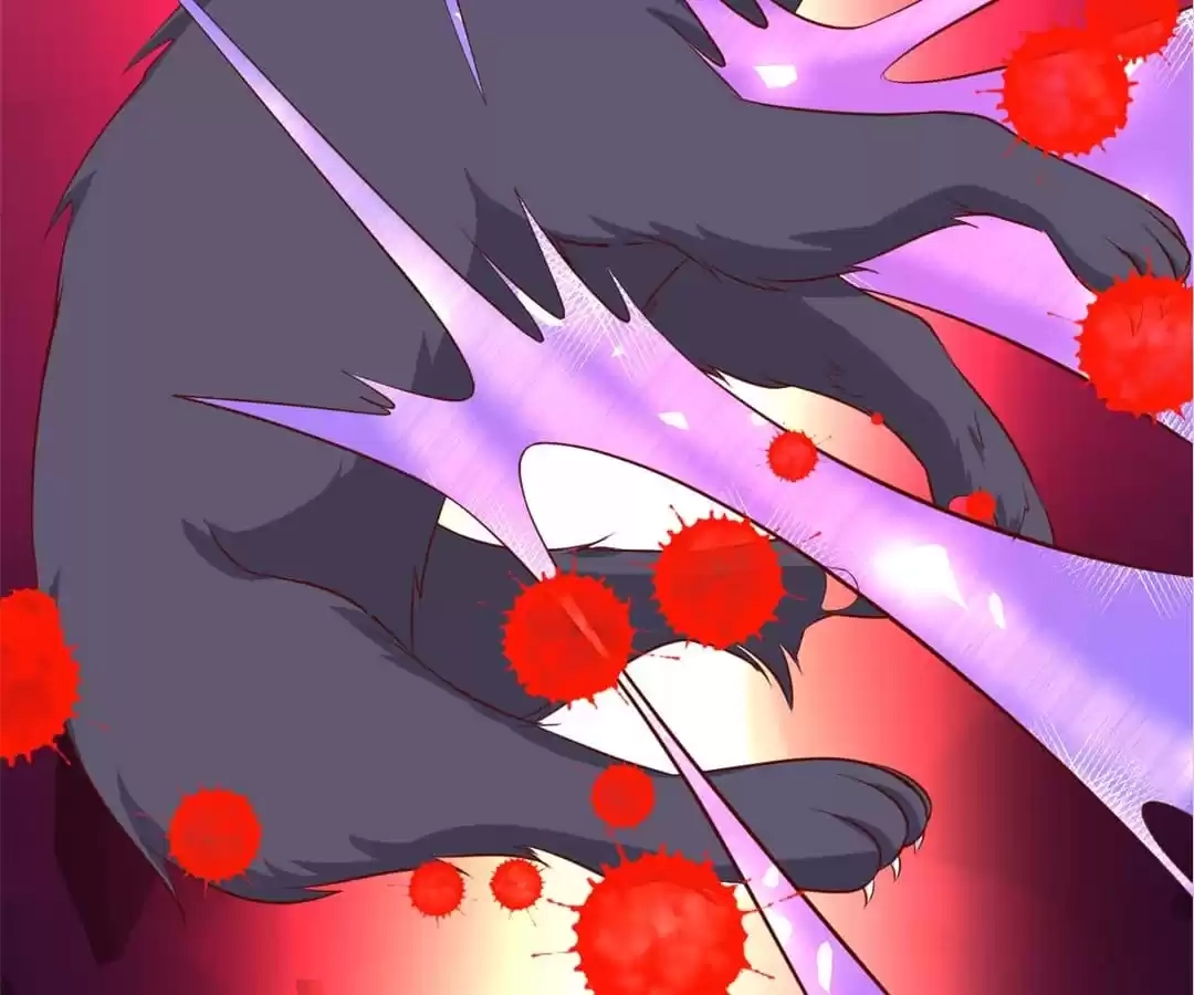 Read My Snapping Fox Lord chapter 136 image 68 on Lezhin