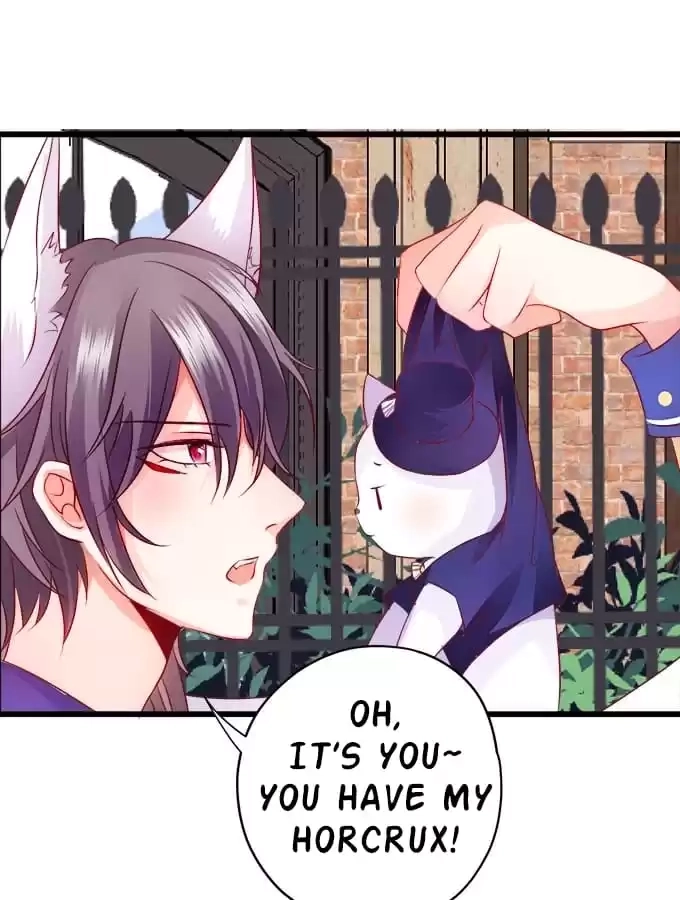 Read My Snapping Fox Lord chapter 14 image 14 on Lezhin
