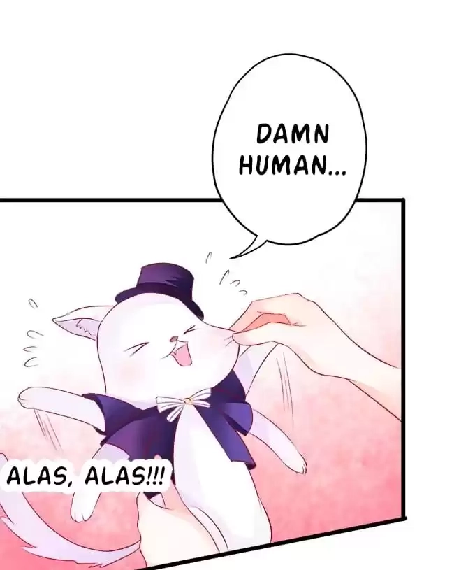 Read My Snapping Fox Lord chapter 14 image 6 on Lezhin