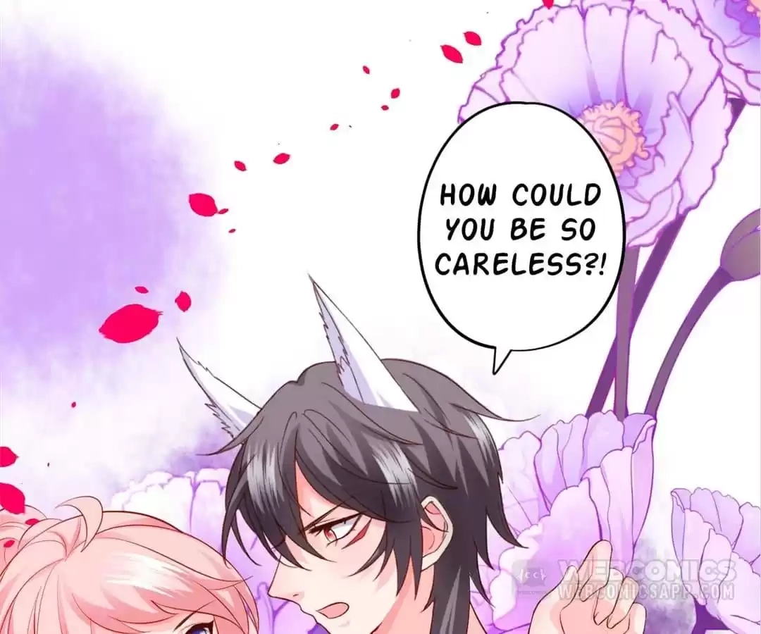 Read My Snapping Fox Lord chapter 140 image 10 on Lezhin