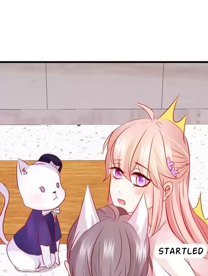 Read My Snapping Fox Lord chapter 15 image 80 on Lezhin