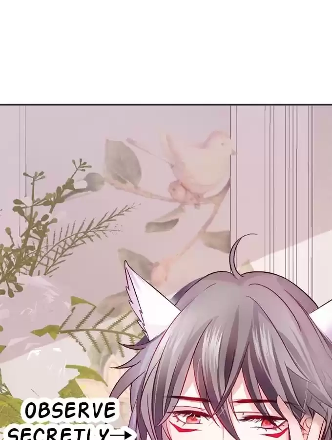 Read My Snapping Fox Lord chapter 3 image 14 on Lezhin