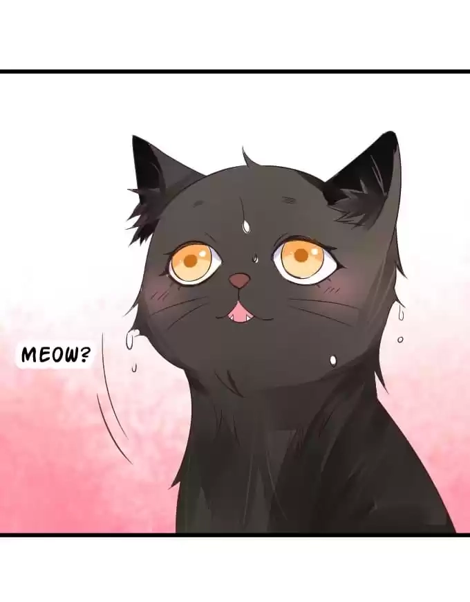 Read My Snapping Fox Lord chapter 36 image 64 on Lezhin
