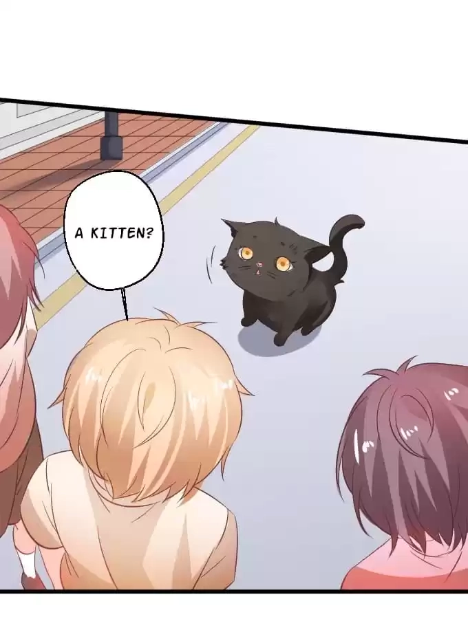 Read My Snapping Fox Lord chapter 36 image 72 on Lezhin