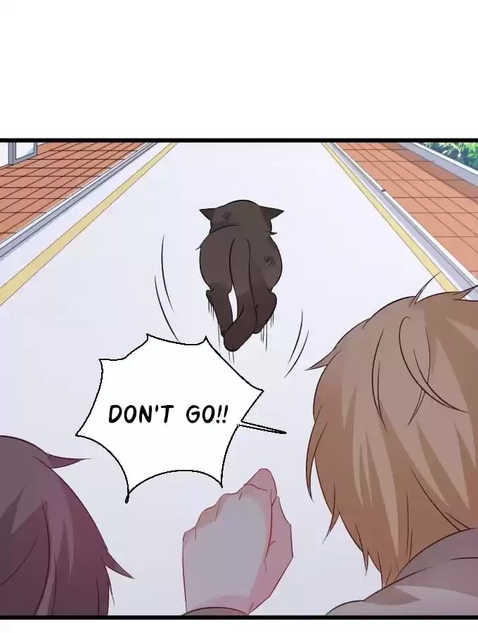 Read My Snapping Fox Lord chapter 36 image 82 on Lezhin