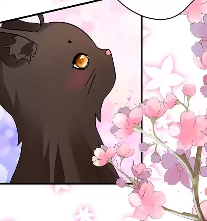 Read My Snapping Fox Lord chapter 38 image 17 on Lezhin