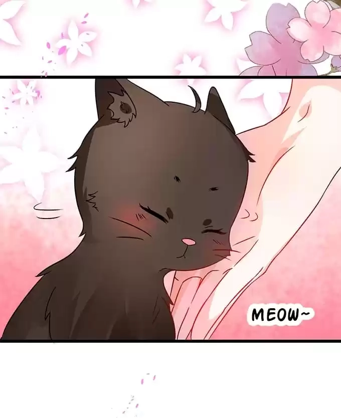 Read My Snapping Fox Lord chapter 38 image 18 on Lezhin