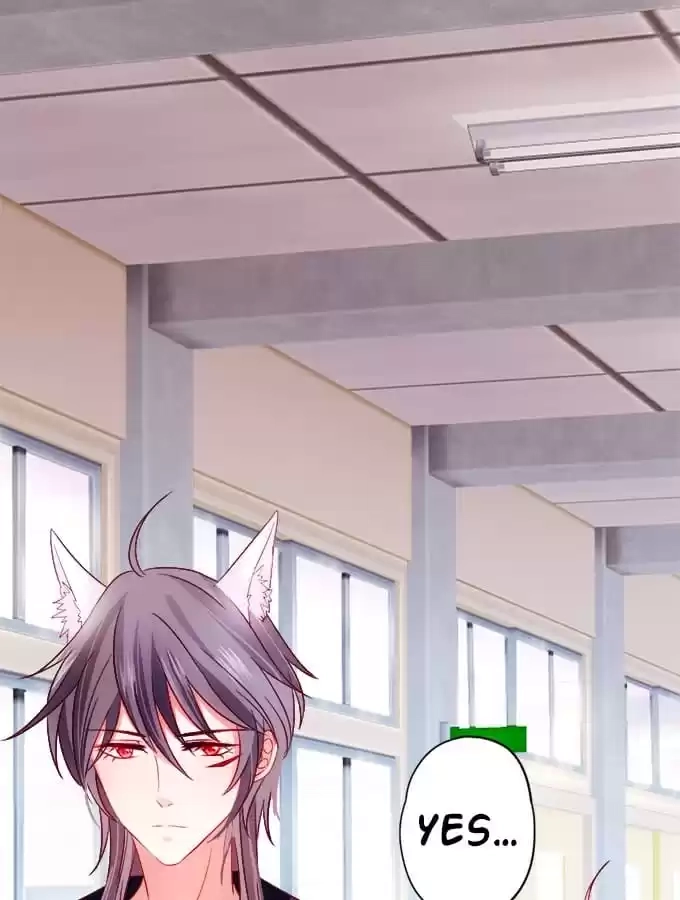 Read My Snapping Fox Lord chapter 5 image 13 on Lezhin