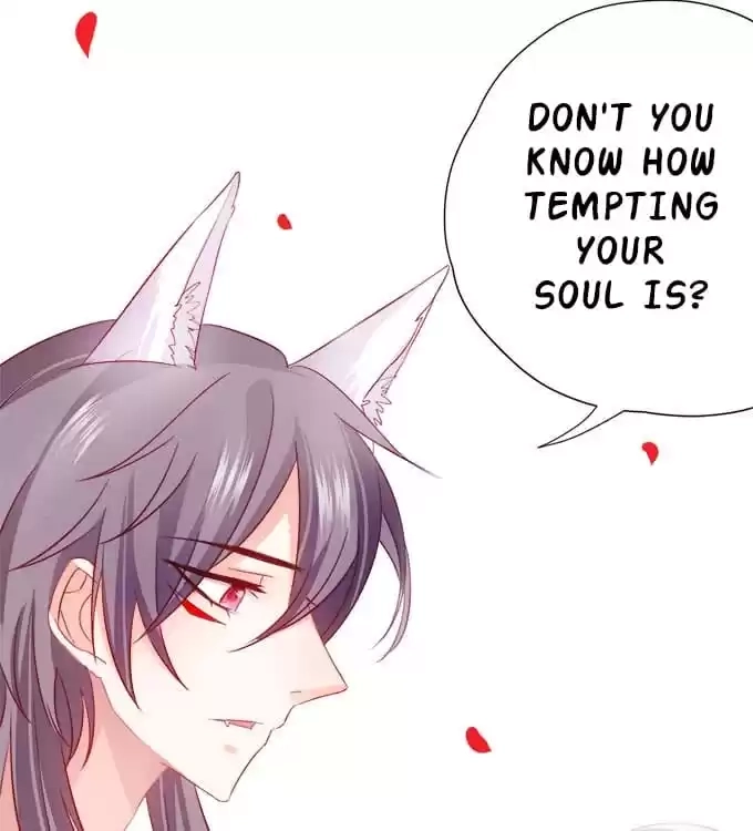 Read My Snapping Fox Lord chapter 6 image 8 on Lezhin