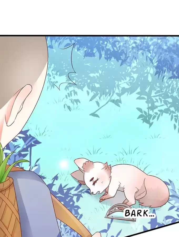 Read My Snapping Fox Lord chapter 64 image 25 on Lezhin