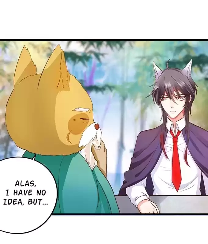 Read My Snapping Fox Lord chapter 67 image 14 on Lezhin