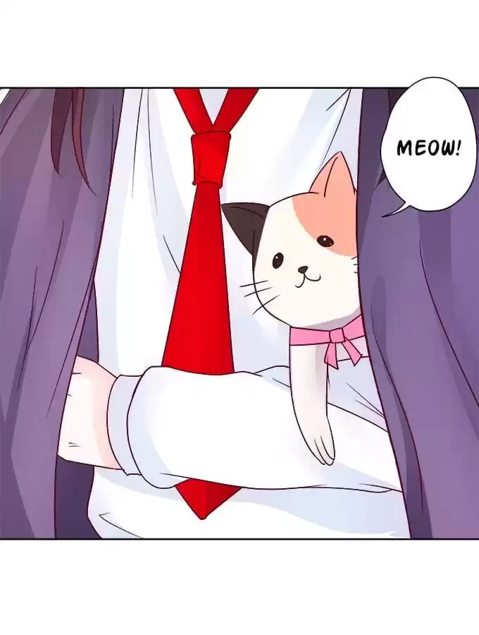 Read My Snapping Fox Lord chapter 7 image 14 on Lezhin
