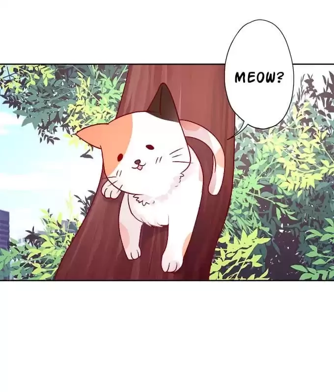 Read My Snapping Fox Lord chapter 7 image 38 on Lezhin