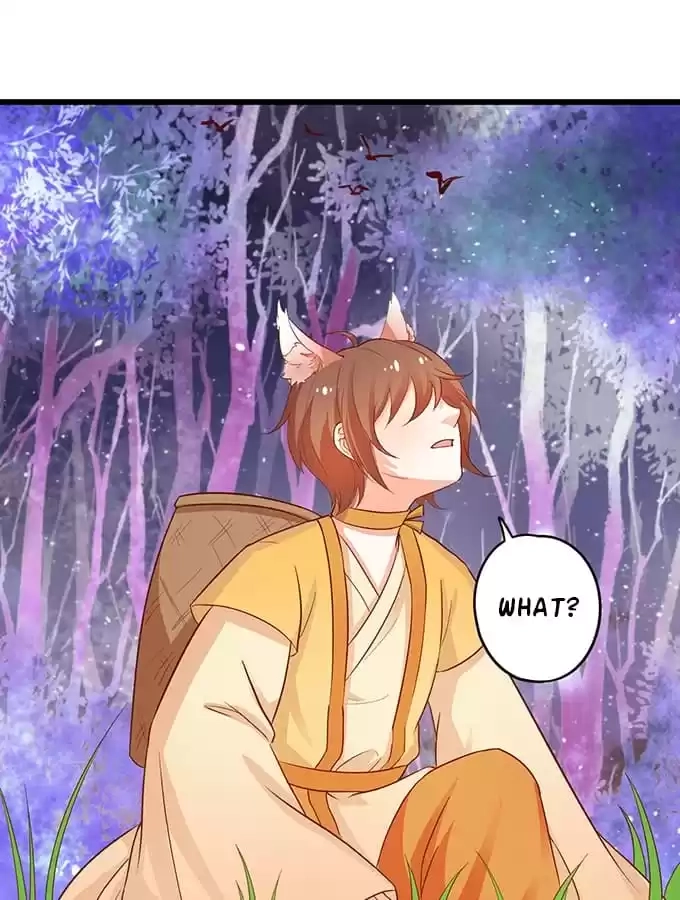 Read My Snapping Fox Lord chapter 74 image 87 on Lezhin