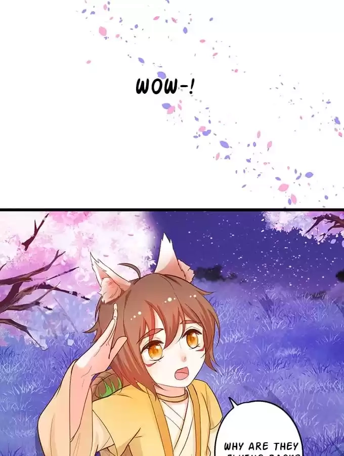 Read My Snapping Fox Lord chapter 75 image 13 on Lezhin