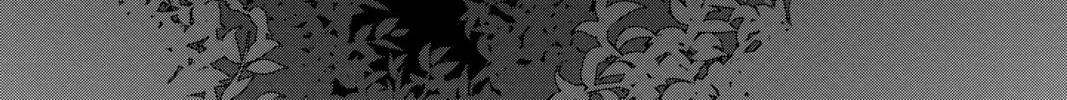 Read My Special One chapter 33 image 87 on Lezhin
