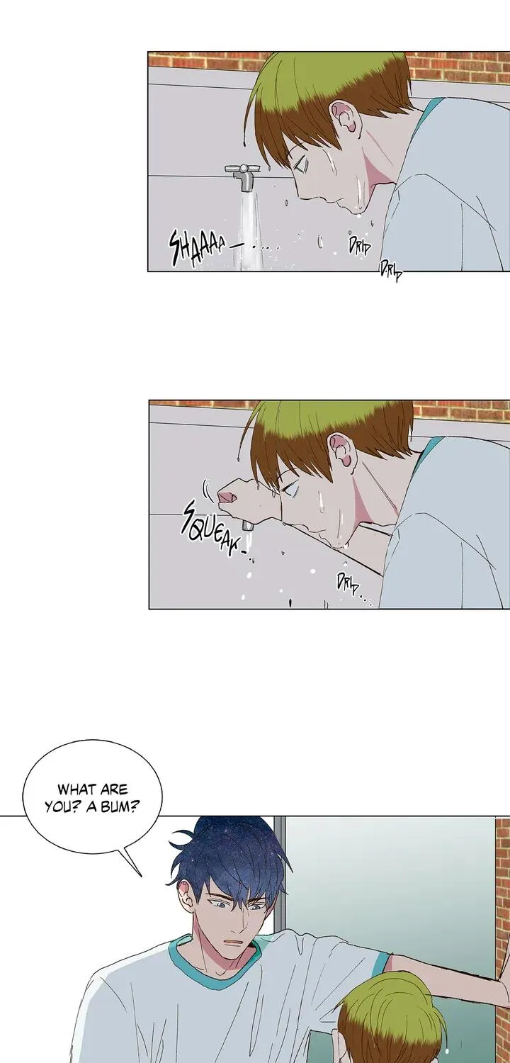 Read My Starry Sky chapter 16 image 32 on Lezhin