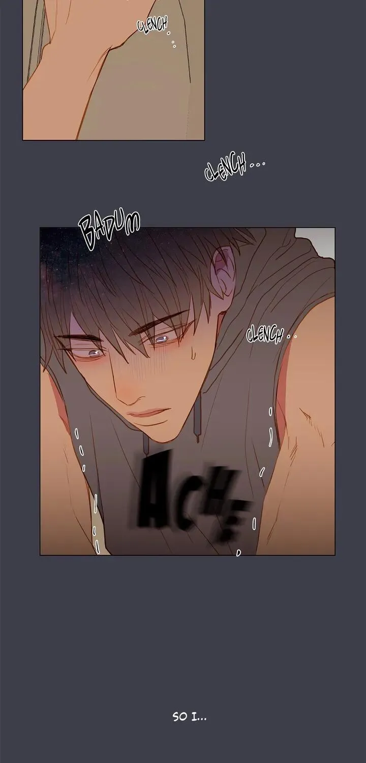 Read My Starry Sky chapter 36 image 50 on Lezhin