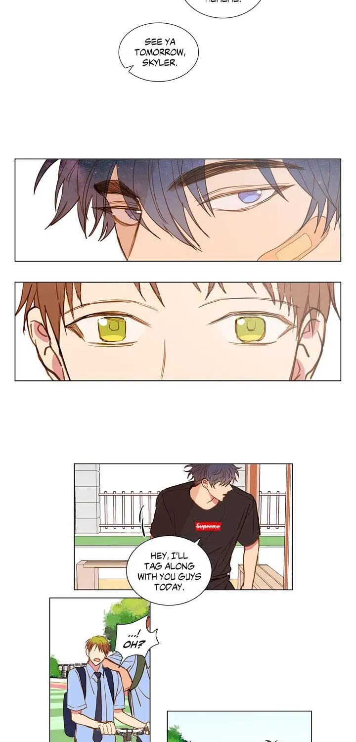 Read My Starry Sky chapter 39 image 8 on Lezhin