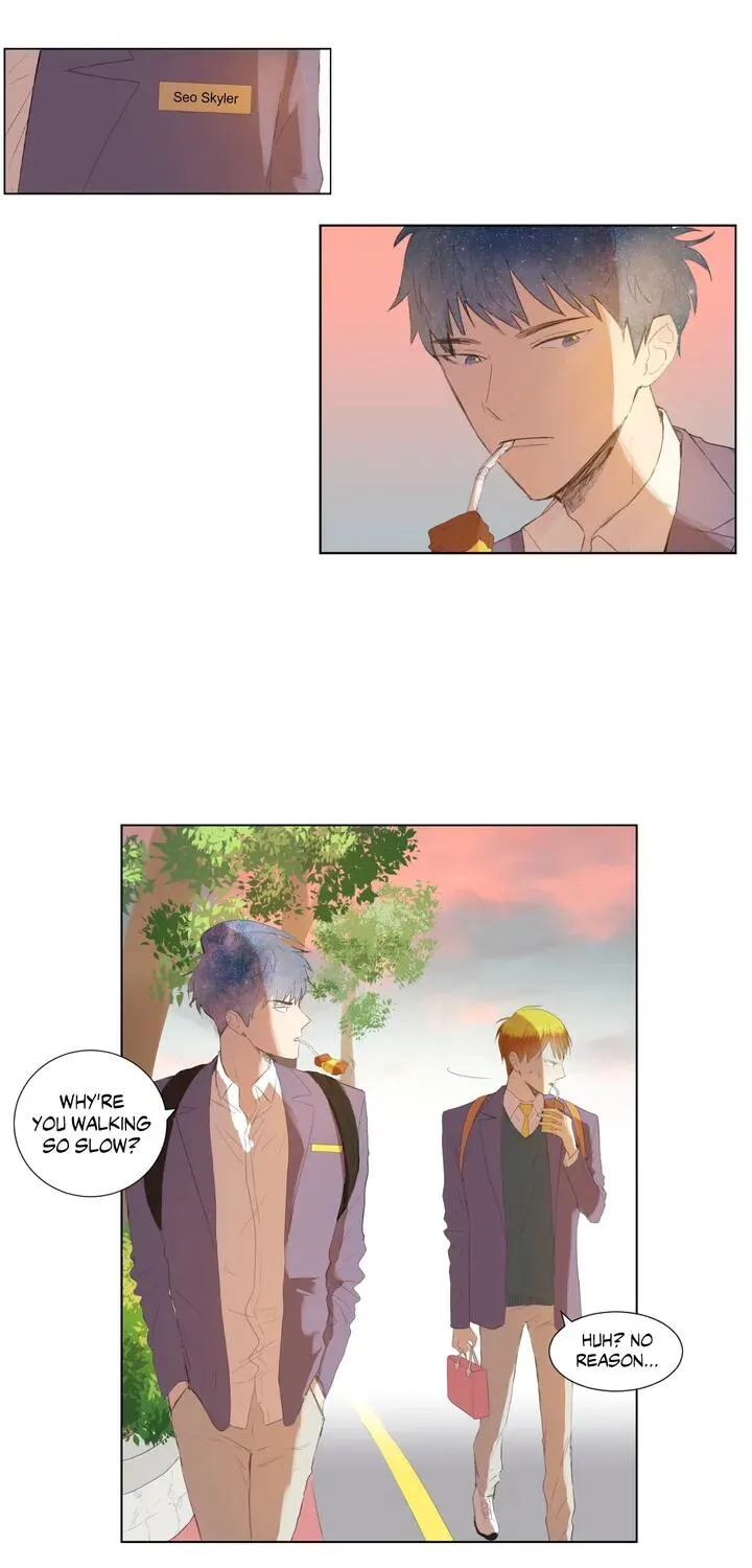Read My Starry Sky chapter 5 image 6 on Lezhin