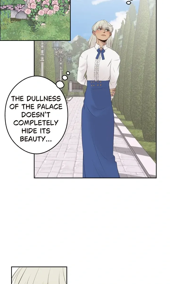 Read My Sweet Demon King chapter 14 image 2 on Lezhin